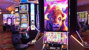 Habanero game portfolio on sydney live platform showcasing vibrant themed slot titles